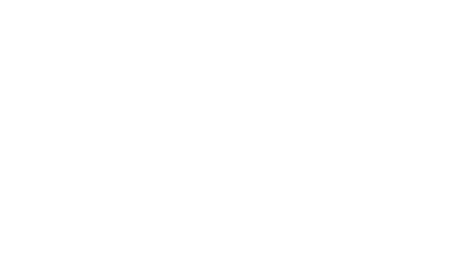 Flight Photos Reverse White